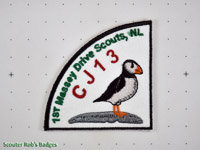 Click to enlarge CJ'13 1st Massey Drive - Bird